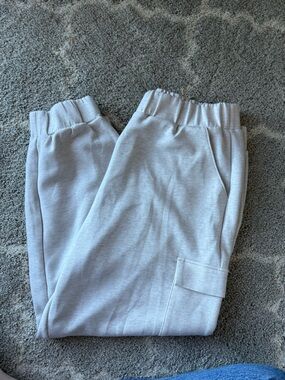 Express Light Gray Jogger Pants